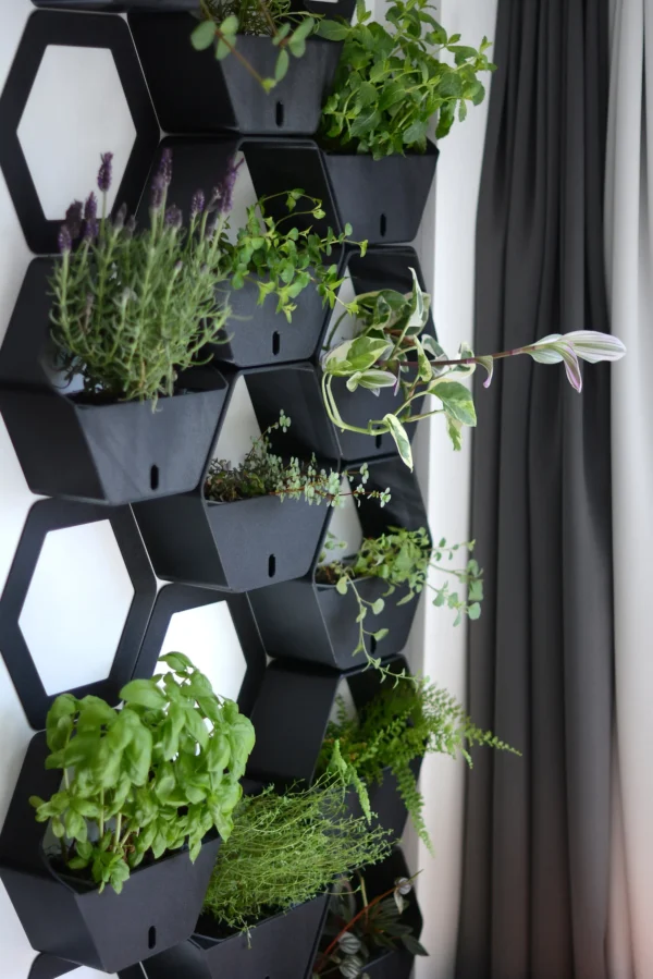 Geometric wall planters